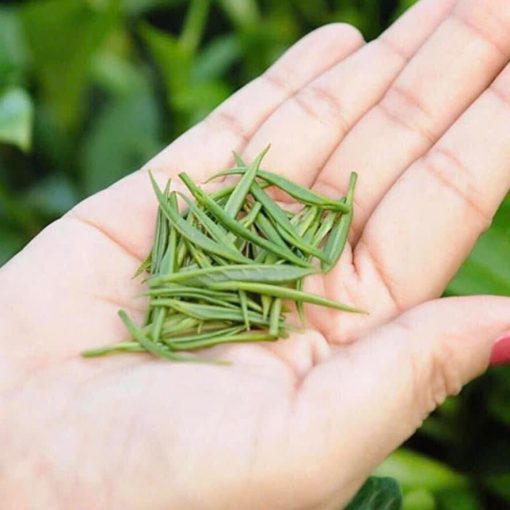 Trà Đinh thượng hạng (500g) - Hình ảnh 2