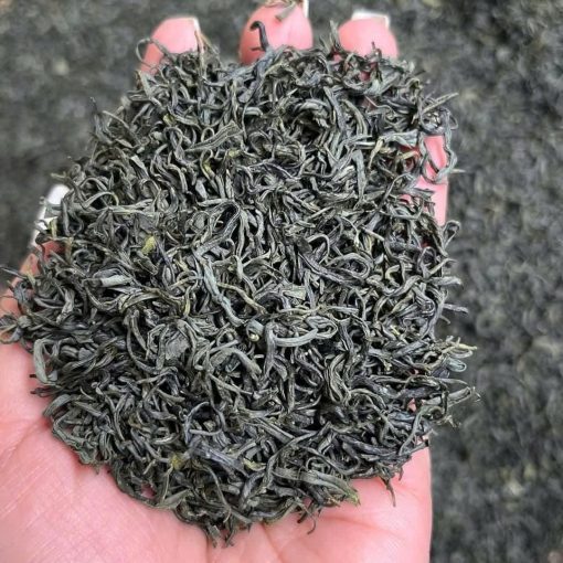 Trà móc câu đặc sản (1kg) - Hình ảnh 2